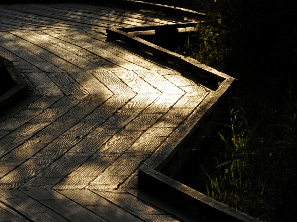P1020633-Boardwalk-JacksonFrazierWetland-CorvallisOR-1July15