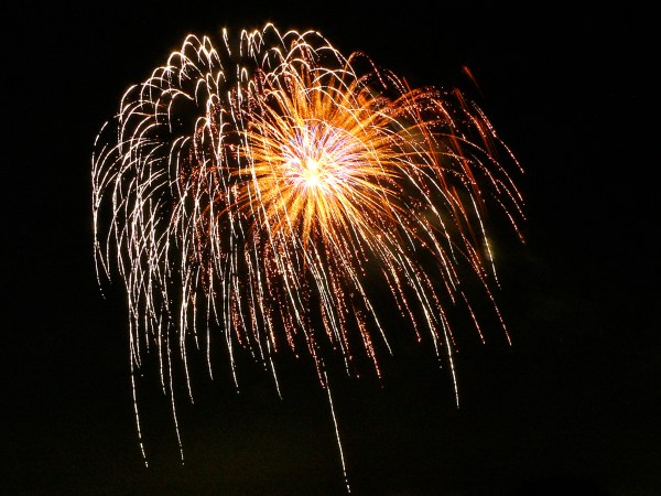 Fireworks in night sky