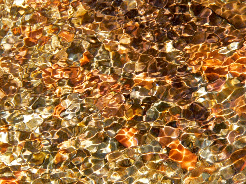 Sunlight on pebbles in creek