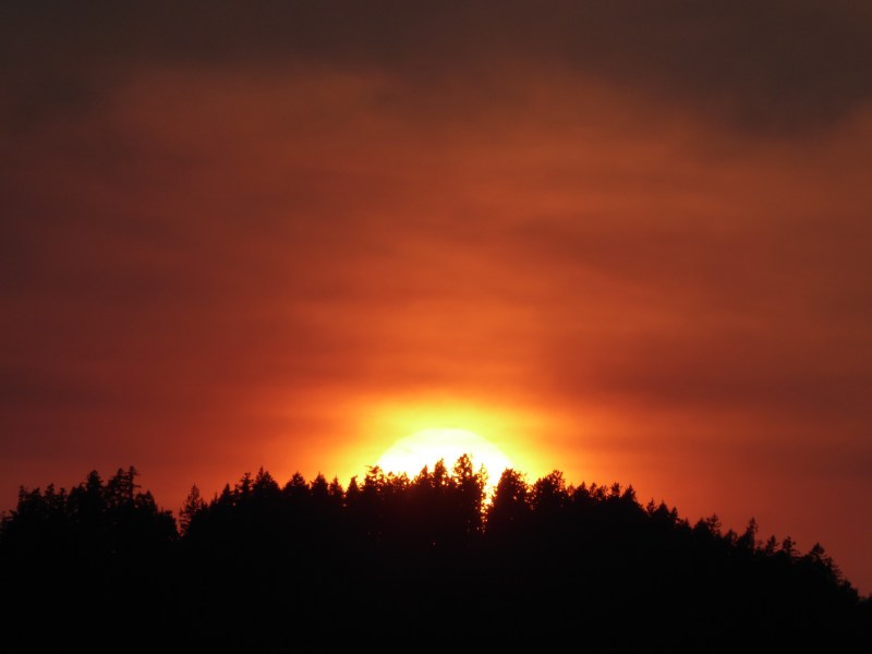 Sun setting into forested ridge