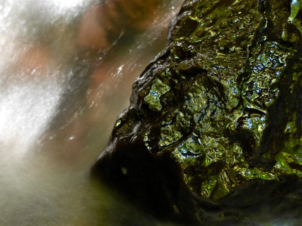 Shiny rock in stream