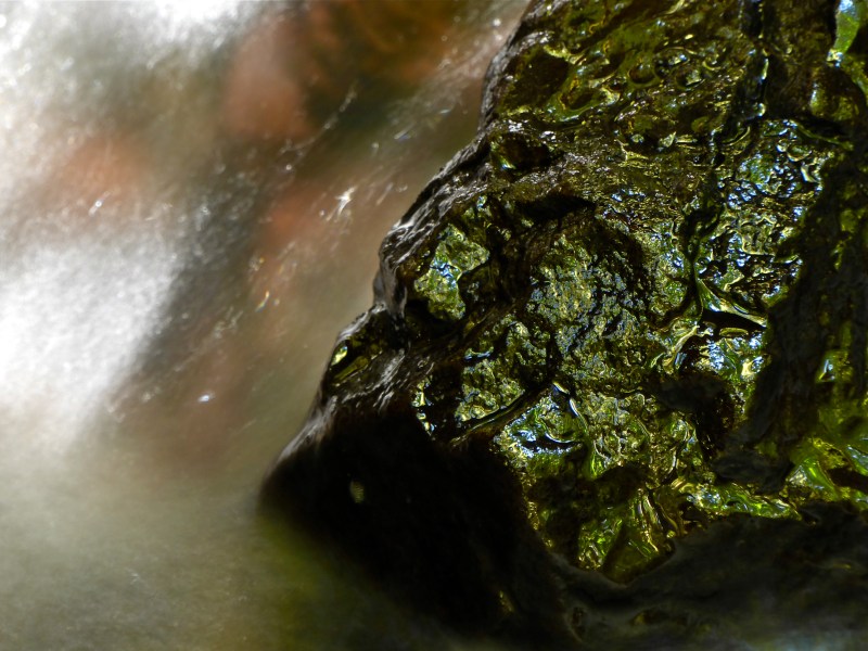 Shiny rock in stream