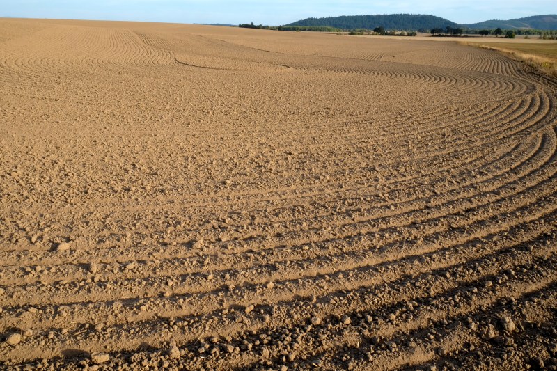 Plowed field