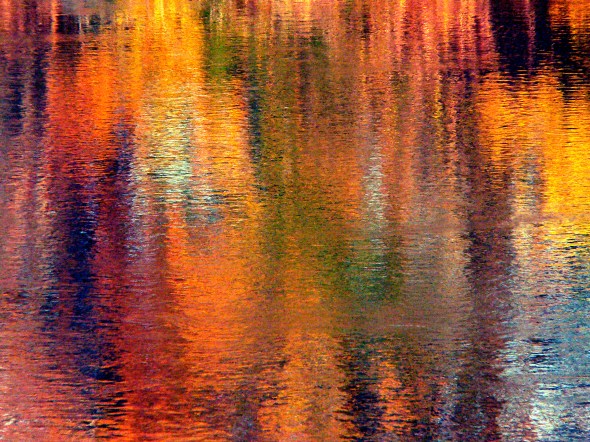 P1110894-WarmReflections-WillametteRiver-CorvallisOR-28Oct2007