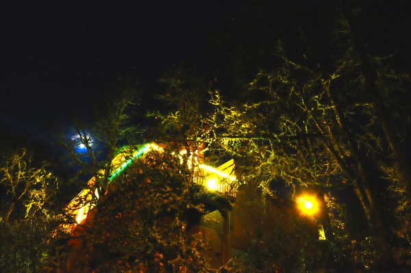 Night scene of house lights, oak trees and moon