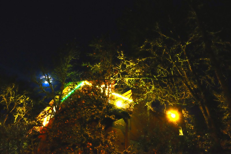 Night scene of house lights, oak trees and moon