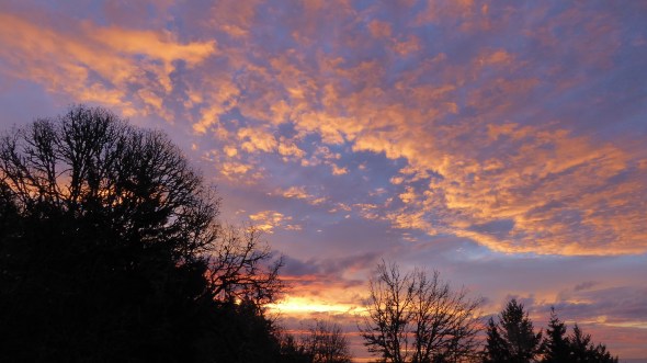 P1050842-Sunrise-CorvallisOR-10Feb2016