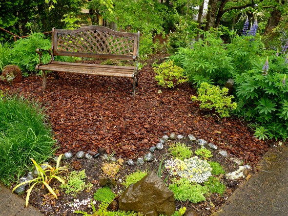 P1030440-LupineKnoll-CorvallisOR-25May2011