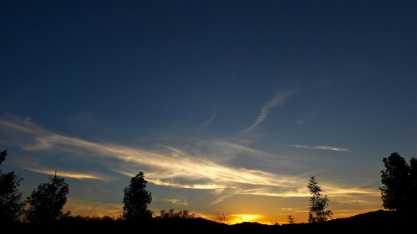Western sky after sunset with silhouetted trees and luminous clouds