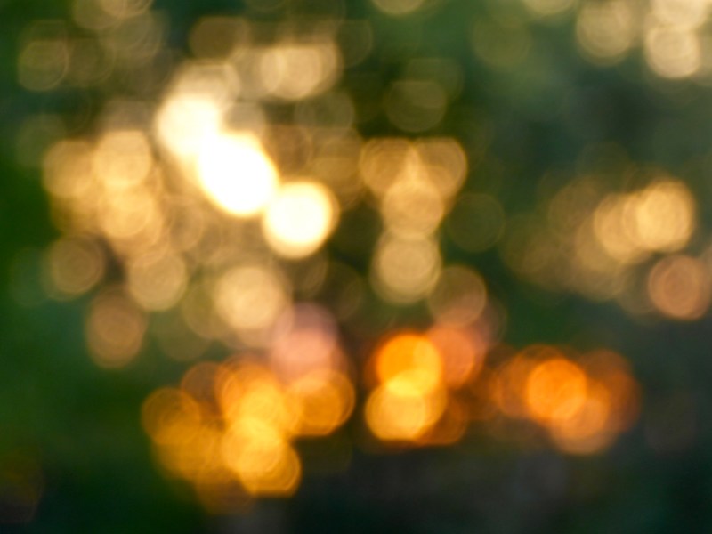 Many blurry yellow and orange circles of light in undefined pattern against dark green background