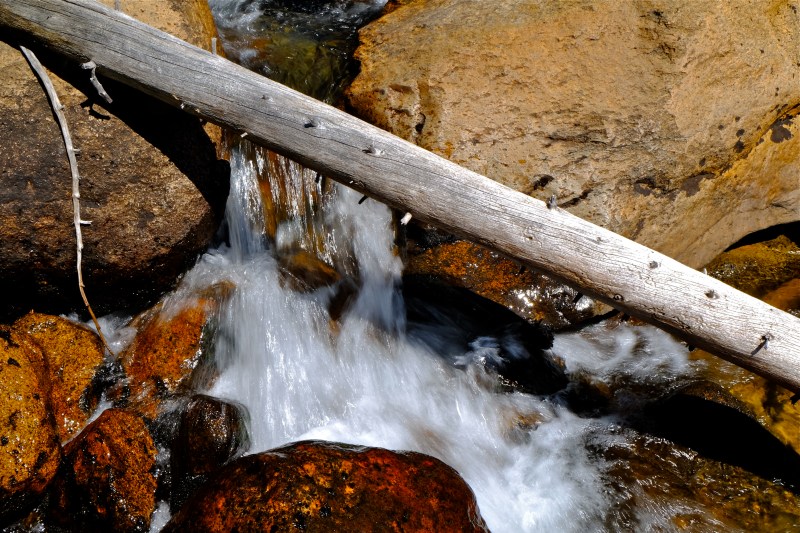 Whitewater flowing under bleached log and over rocks in creek