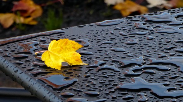 Yellow maple leaf on black outdoor metal table with raindrop puddles