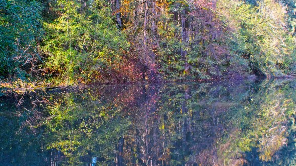 Autumn forest with red, orange, yellow and green leaves reflected in pond