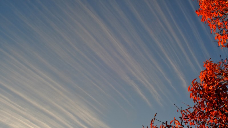 Blue sky with long, thin wisps of diagonal clouds and orange autumn leaves on the right