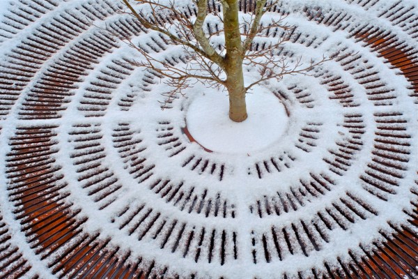 Base of small tree surrounded by snow-covered concentric circles of metal grating
