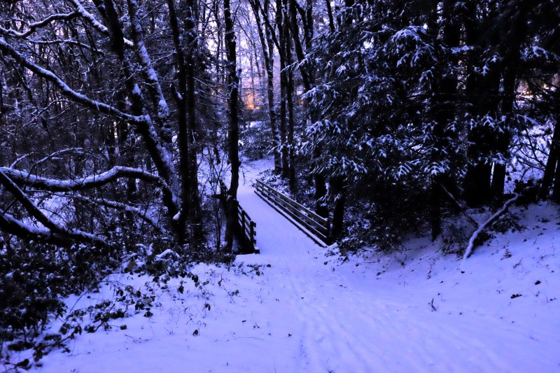 Snowy woods with footbridge at center leading away toward evening glow in sky