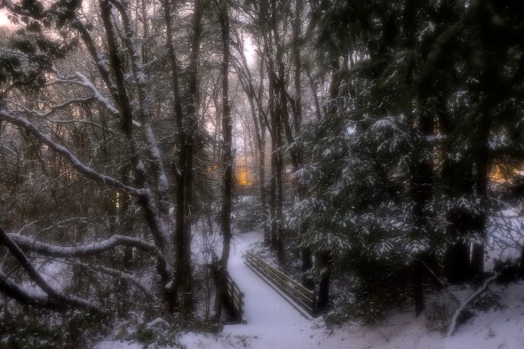 Softly focused snowy woods with footbridge at center leading away toward evening glow in sky