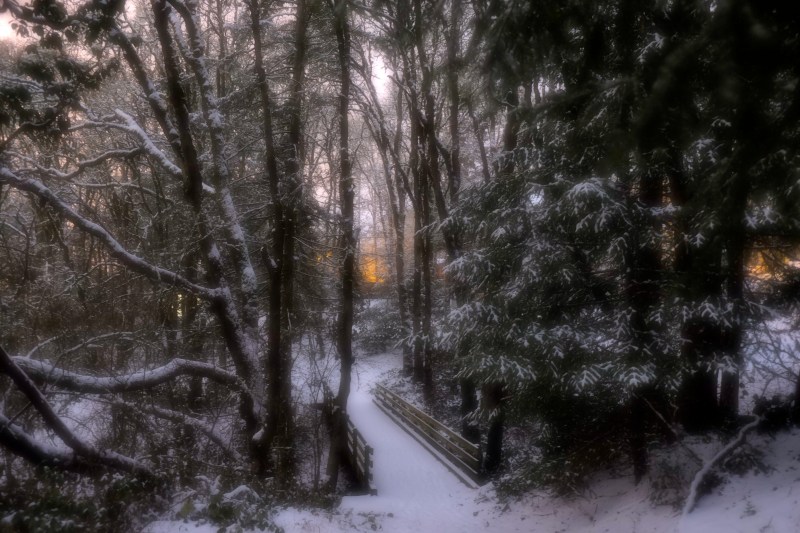 Softly focused snowy woods with footbridge at center leading away toward evening glow in sky