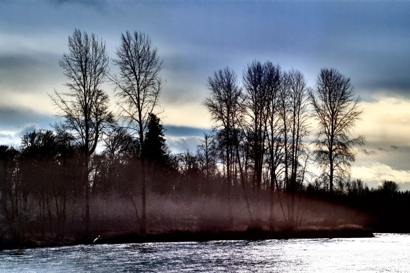 Bare trees and brush along riverside with deep blue-grey sky