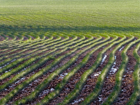 p1100029-winterfield-corvallisor-16jan17