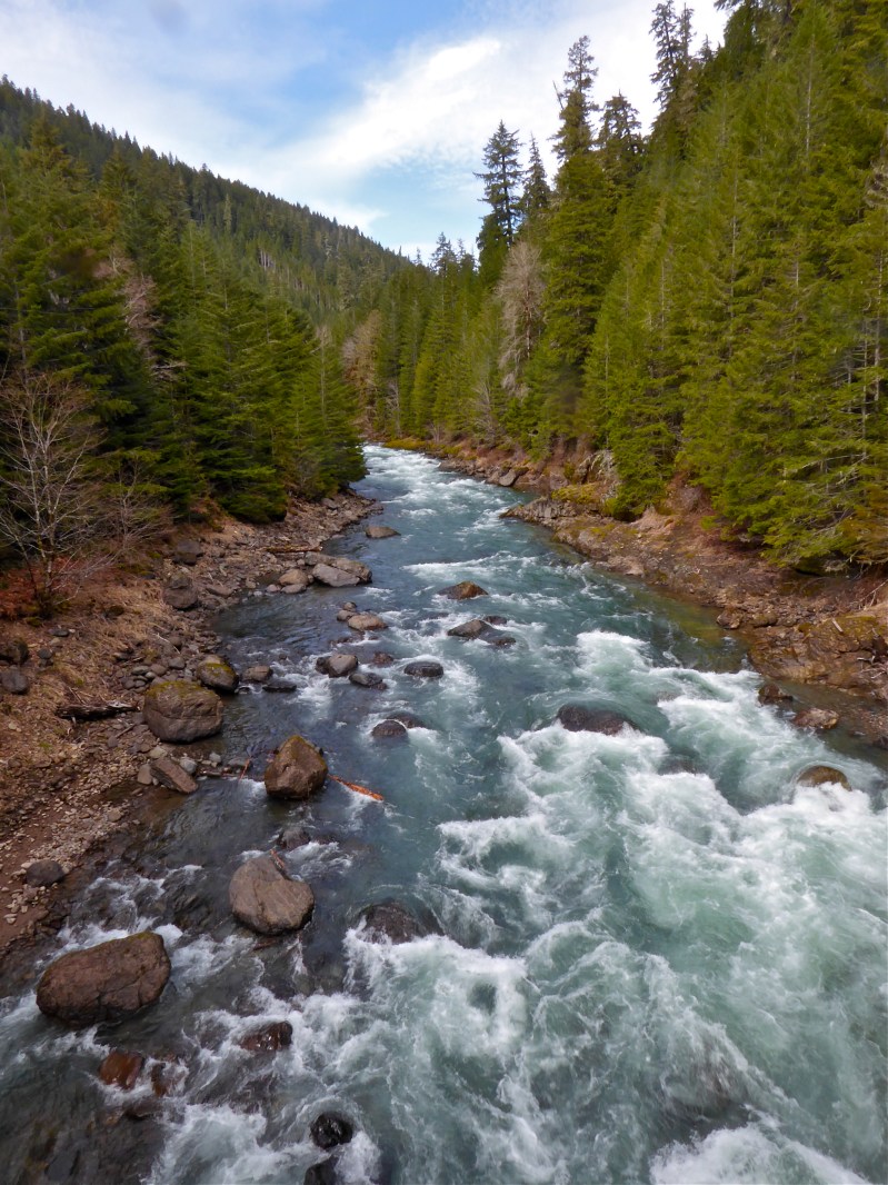Rocky river with whitewater rapids flowing between steep hillsides of evergreen and blue sky