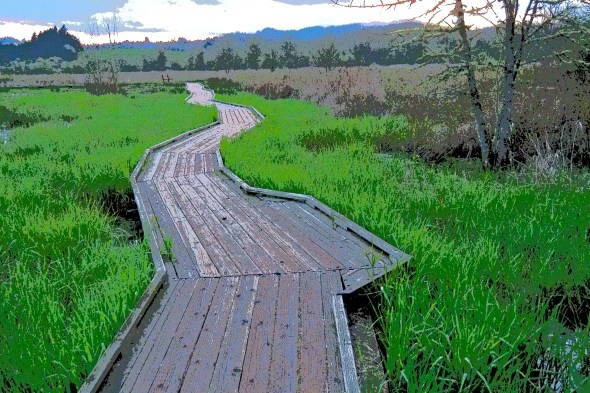 Boardwalk stretching away through green grass of marsh toward forest and blue hills in distance