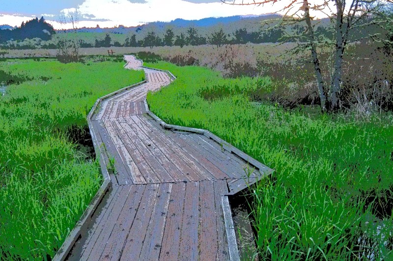 Boardwalk stretching away through green grass of marsh toward forest and blue hills in distance