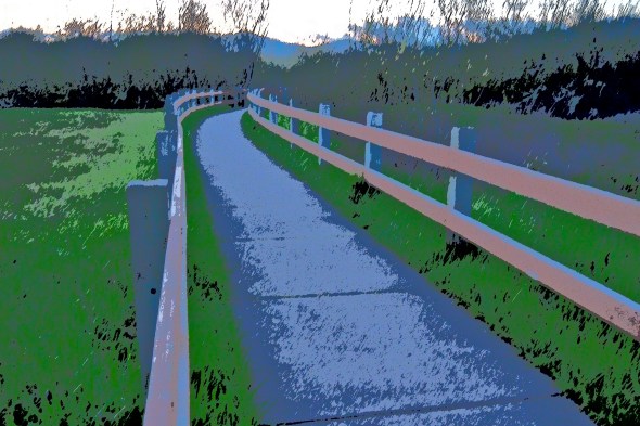 Curving pathway with wooden railings leading into woods toward hills
