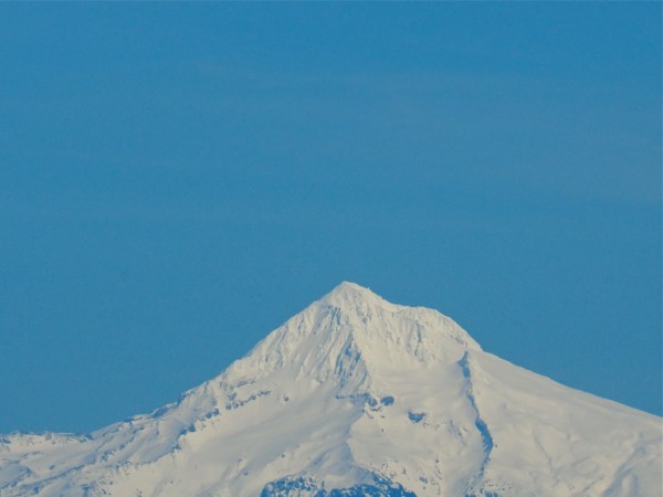 Snow-covered Mt. Hood, Oregon, and blue sky