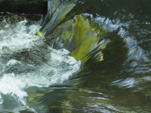 Green and white water flowing in small creek