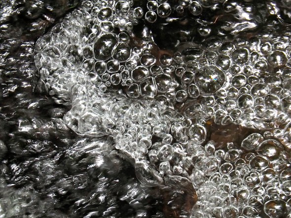 Bubbles on surface of small creek