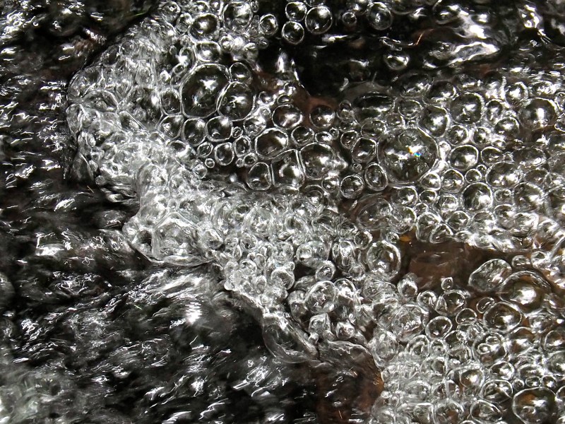 Bubbles on surface of small creek