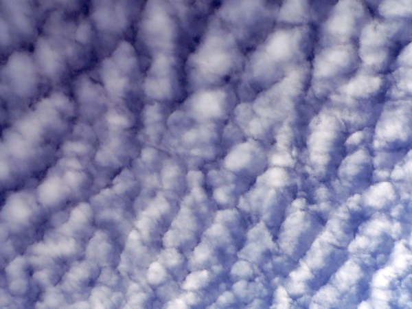 Rows of white, puffy clouds covering deep blue sky