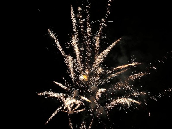 Feathery golden fireworks in night sky
