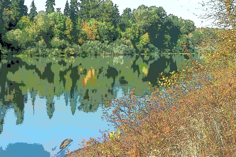 River, bordered by green trees and brush, and reflections