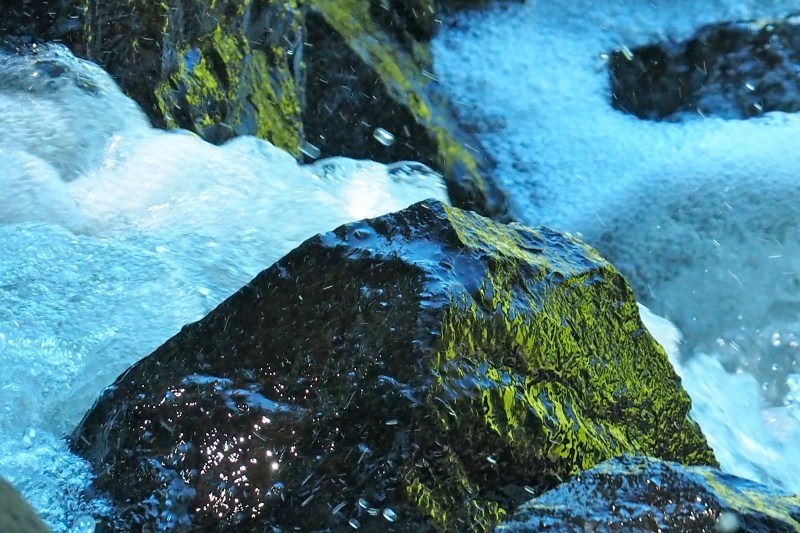 Rushing whitewater and rocks