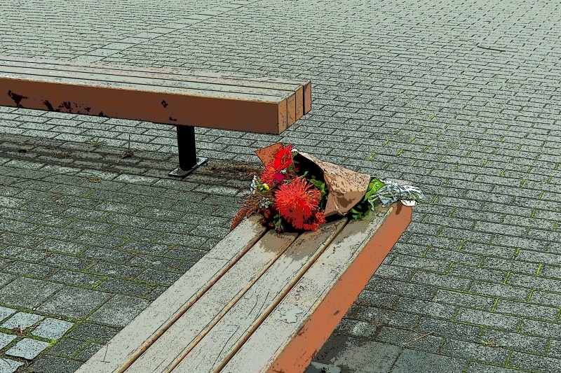 Bouquet of colorful cut flowers on bench
