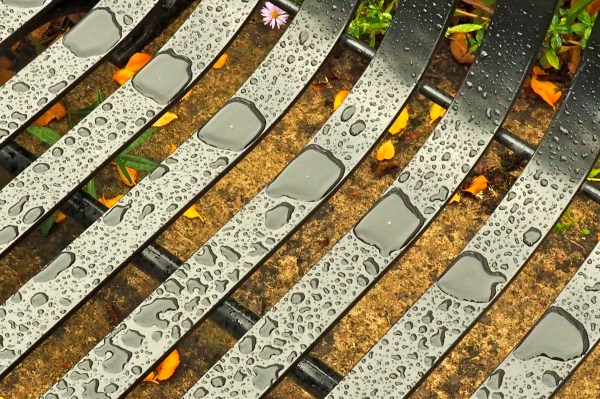Raindrops on slats of black metal bench