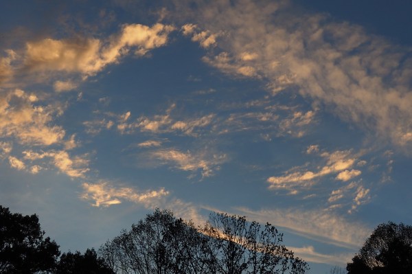 Sunset sky with bright clouds and silhouetted trees