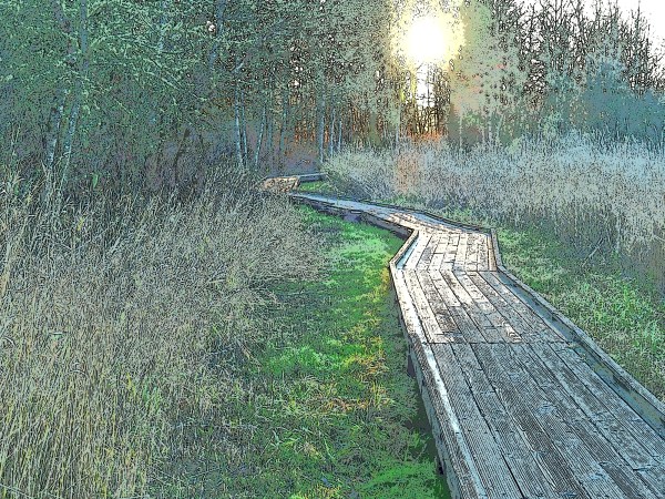 Boardwalk in marsh leading toward setting sun