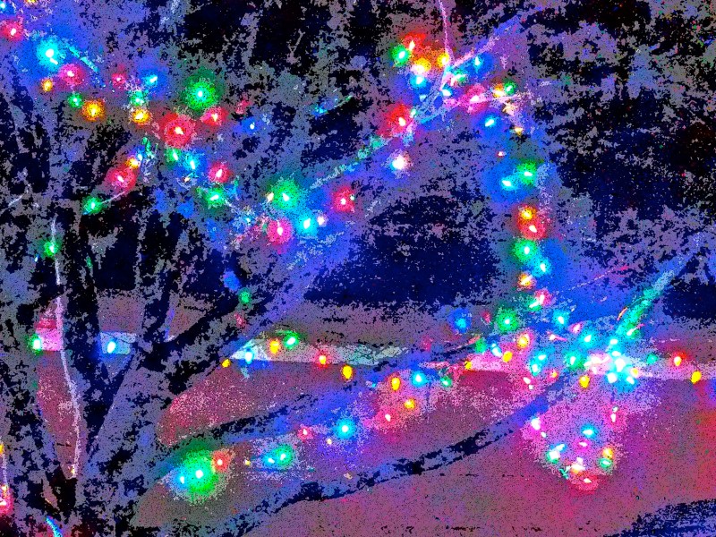 Red, green, blue and yellow Christmas lights in tree branches at night