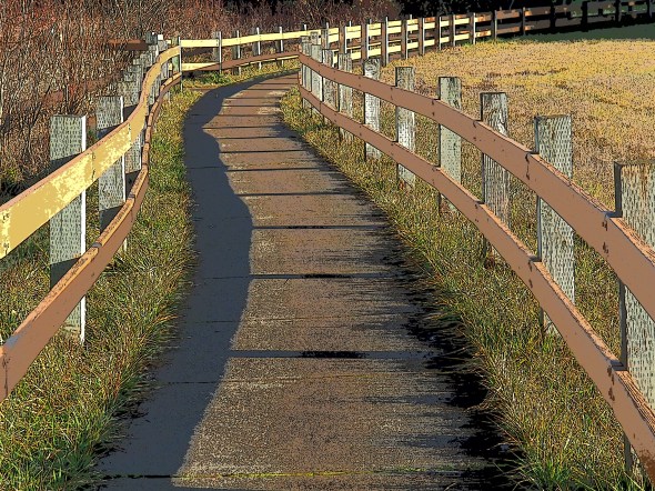 Curved pathway bordered by wooden railings