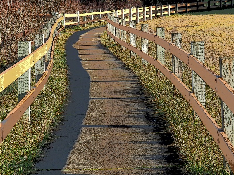 Curved pathway bordered by wooden railings