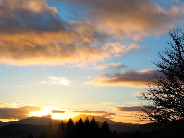 Sun setting over mountains with orange and yellow clouds and silhouetted tree