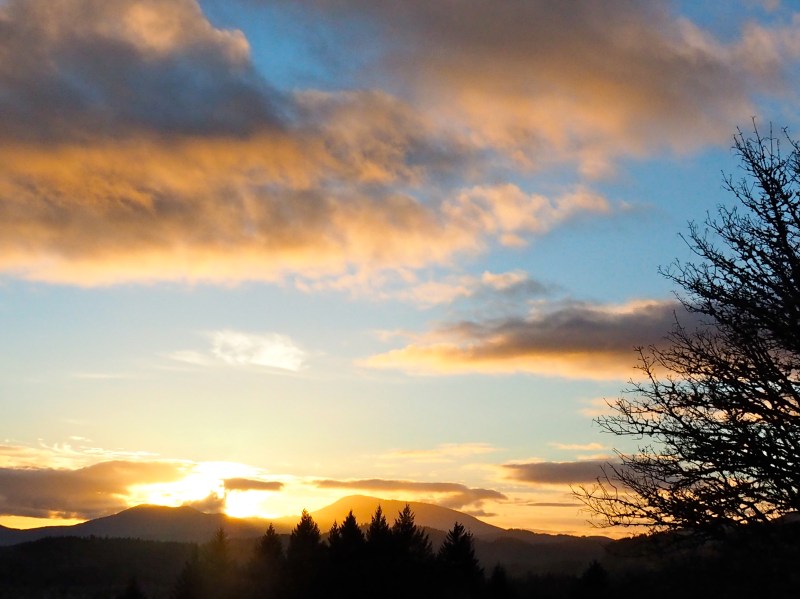 Sun setting over mountains with orange and yellow clouds and silhouetted tree