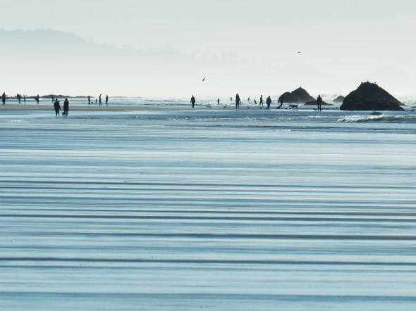 Silhouetted people walking on beach