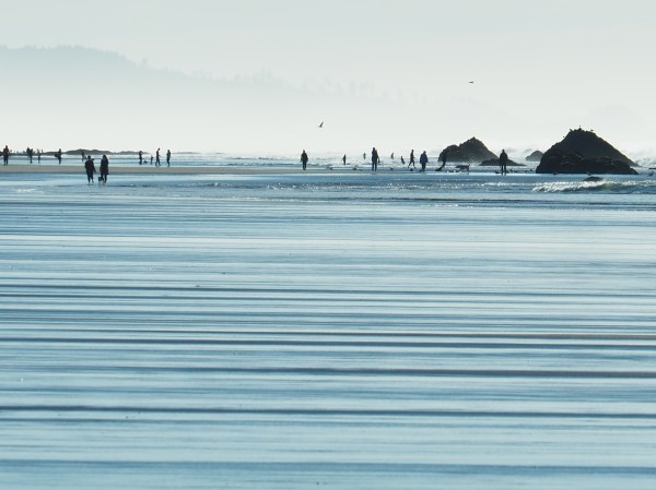 Silhouetted people walking on beach