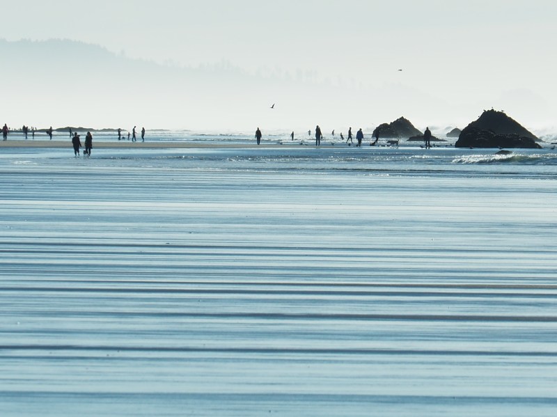 Silhouetted people walking on beach