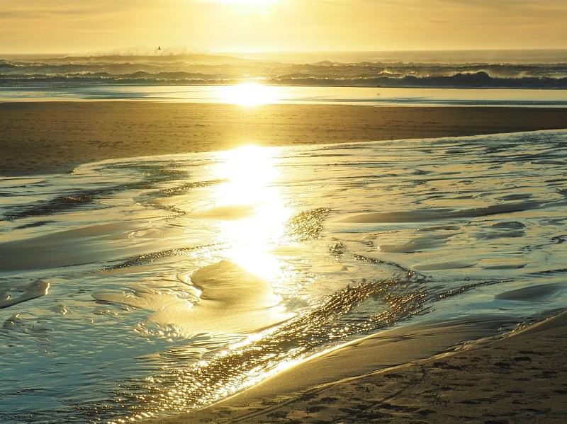 Golden Light on Beach and Surf from Setting Sun