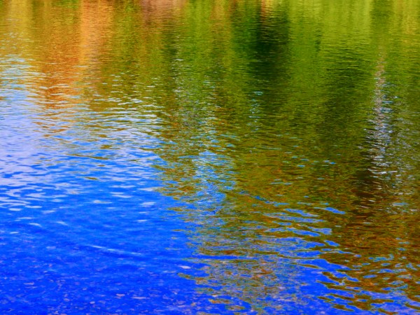 Abstract trees reflected in river